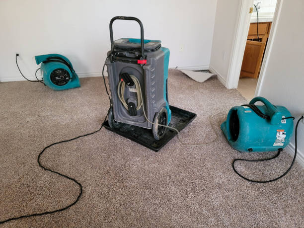 Best Ceiling water damage repair  in St Cloud, FL