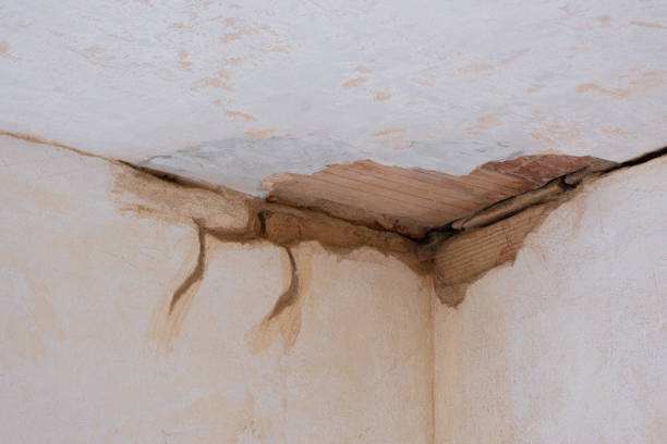 Best Water damage restoration cost  in St Cloud, FL