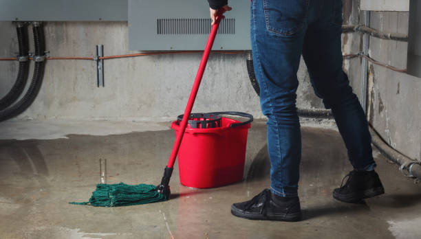 , FL Water damage restoration Company