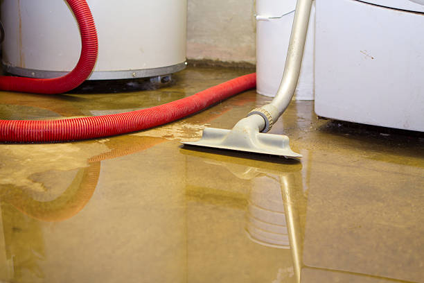 Best Mold removal after water damage  in St Cloud, FL