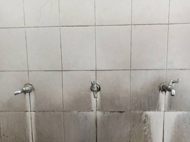  St Cloud, FL Water damage restoration Pros