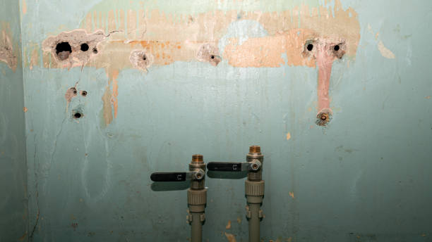 Best Basement water damage restoration  in St Cloud, FL