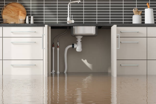 Best Sewage cleanup and water damage restoration  in St Cloud, FL