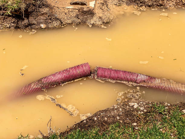 Best Local water damage restoration  in St Cloud, FL