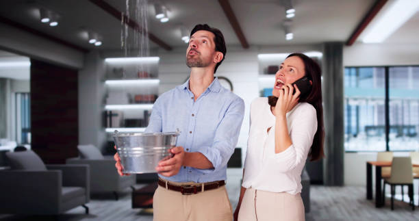 Best Water damage contractors near me  in St Cloud, FL