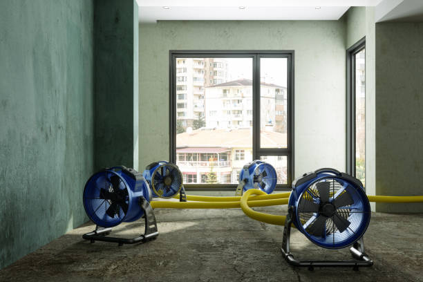 Best Fire Damage Restoration  in St Cloud, FL